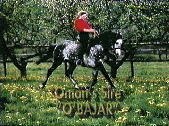 Oman's Sire, O'Bajar